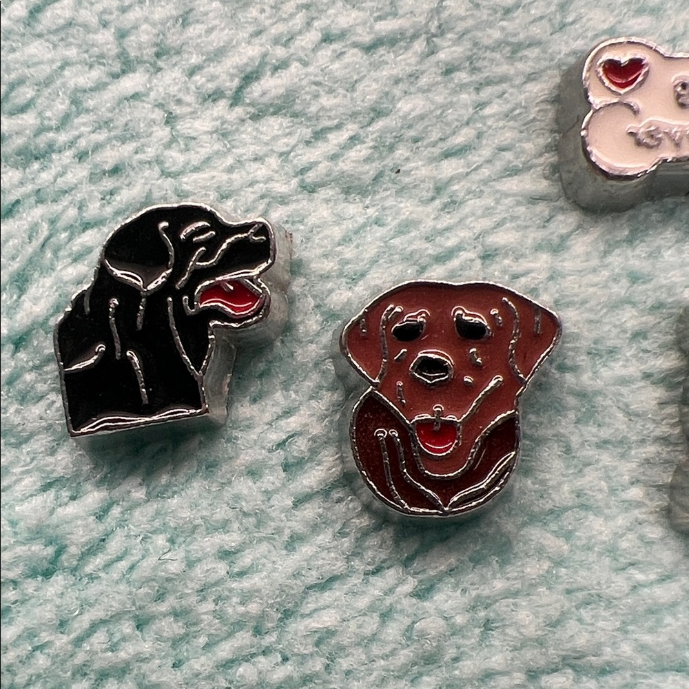 Cute Dog Floating Locket Charm Set - Picture 2 of 6